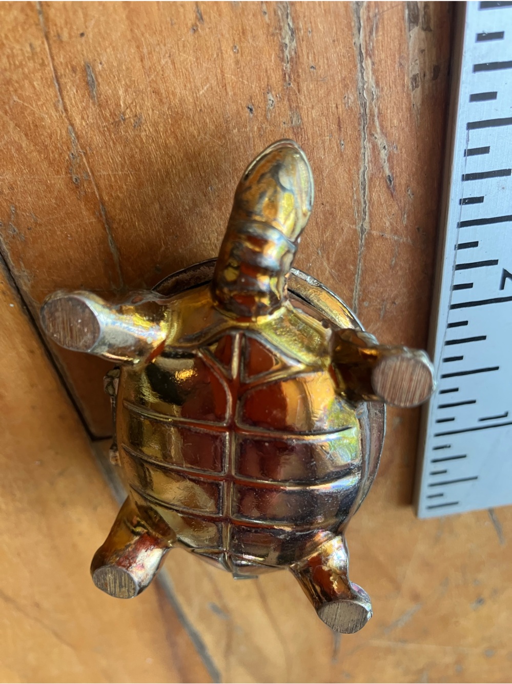 Metal turtle thing - Picture 5 of 5